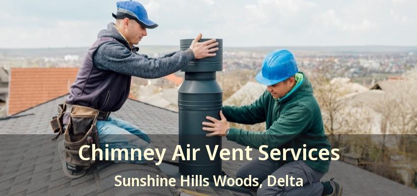 Chimney Air Vent Services Sunshine Hills Woods, Delta - BC