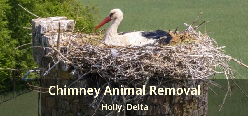 Chimney Animal Removal Holly, Delta - BC