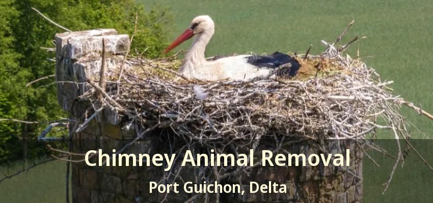 Chimney Animal Removal Port Guichon, Delta - BC