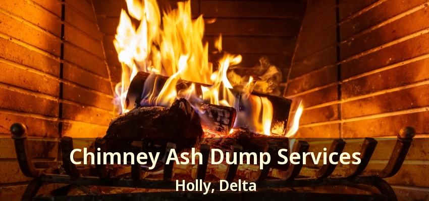 Chimney Ash Dump Services Holly, Delta - BC