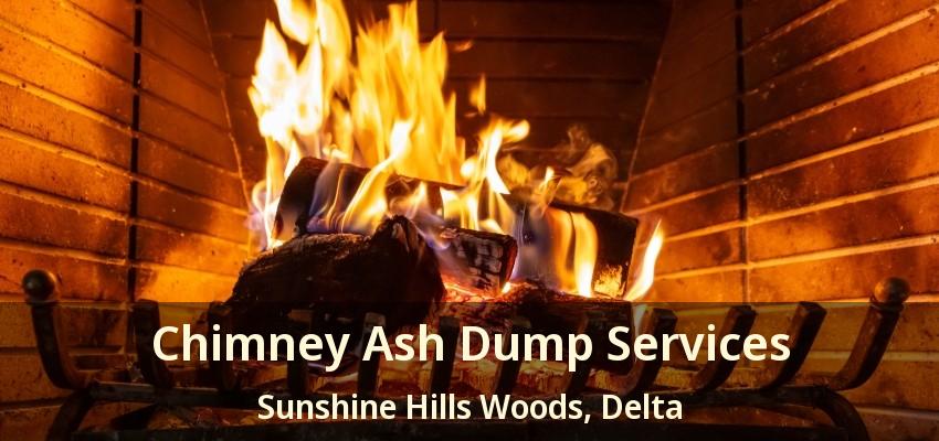 Chimney Ash Dump Services Sunshine Hills Woods, Delta - BC