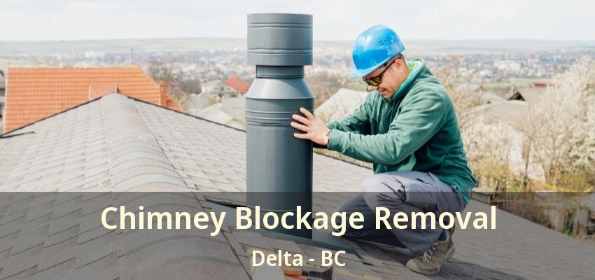 Chimney Blockage Removal Delta - BC