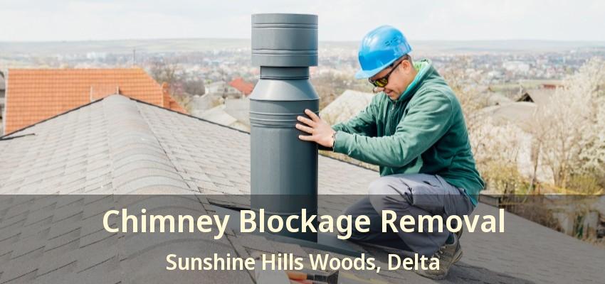 Chimney Blockage Removal Sunshine Hills Woods, Delta - BC