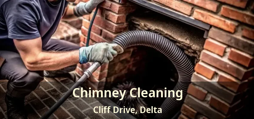 Chimney Cleaning Cliff Drive, Delta - BC