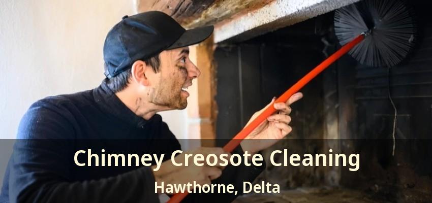 Chimney Creosote Cleaning Hawthorne, Delta - BC