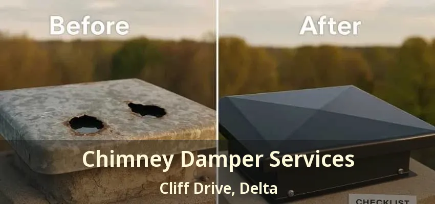 Chimney Damper Services Cliff Drive, Delta - BC