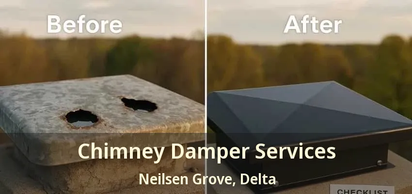 Chimney Damper Services Neilsen Grove, Delta - BC