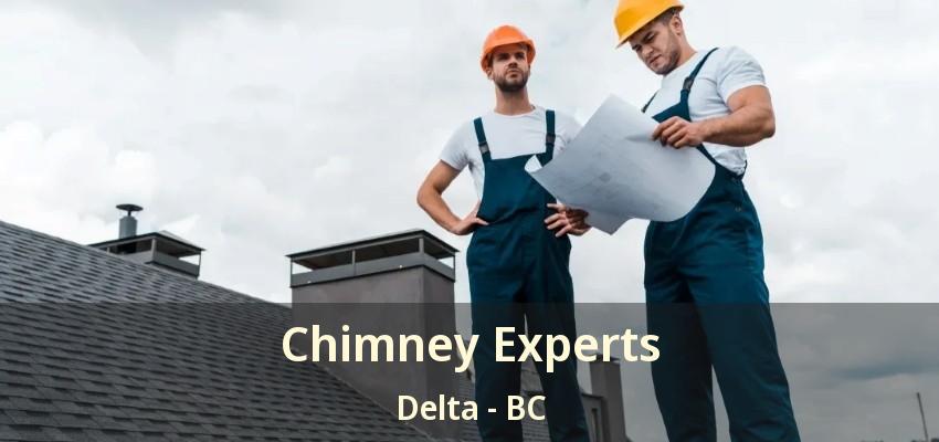 Chimney Experts Delta - BC