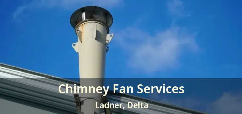 Chimney Fan Services Ladner, Delta - BC