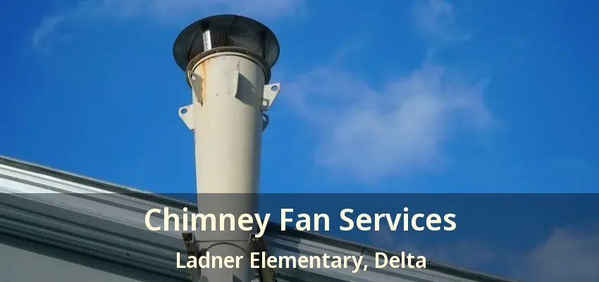 Chimney Fan Services Ladner Elementary, Delta - BC