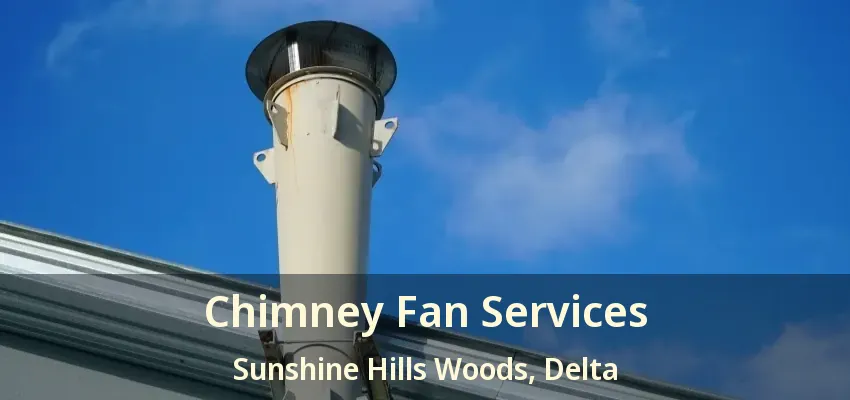 Chimney Fan Services Sunshine Hills Woods, Delta - BC