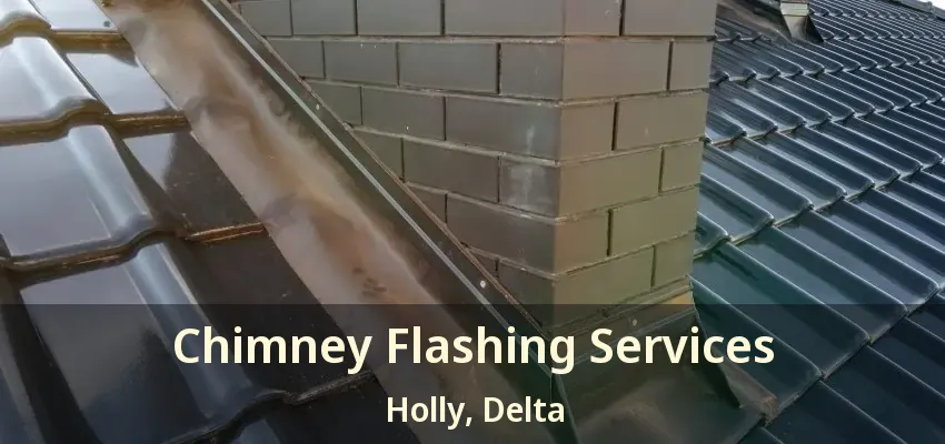 Chimney Flashing Services Holly, Delta - BC