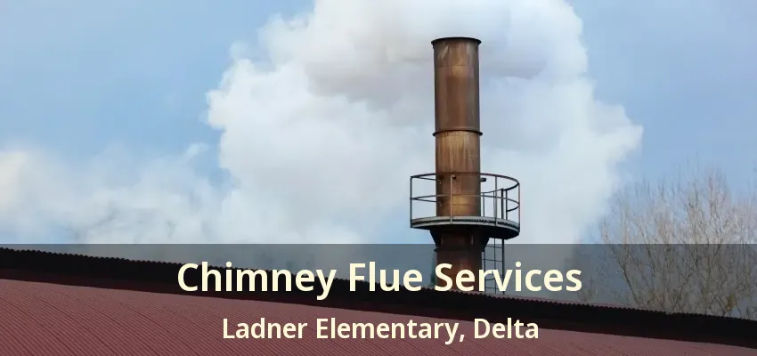 Chimney Flue Services Ladner Elementary, Delta - BC