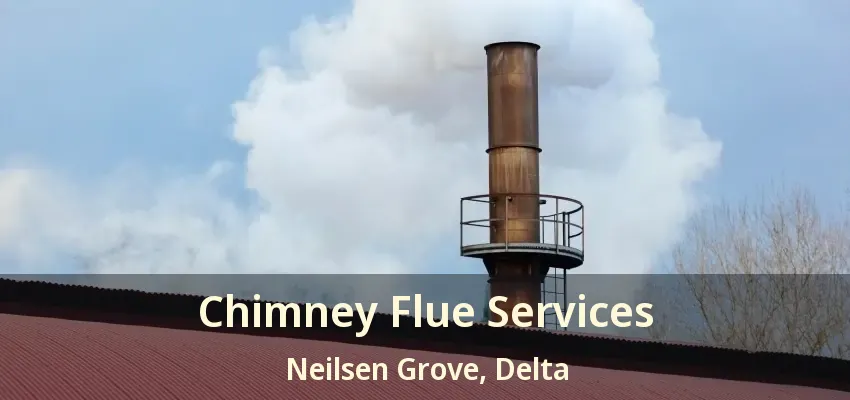 Chimney Flue Services Neilsen Grove, Delta - BC