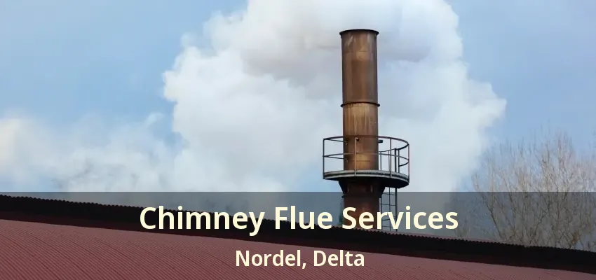 Chimney Flue Services Nordel, Delta - BC