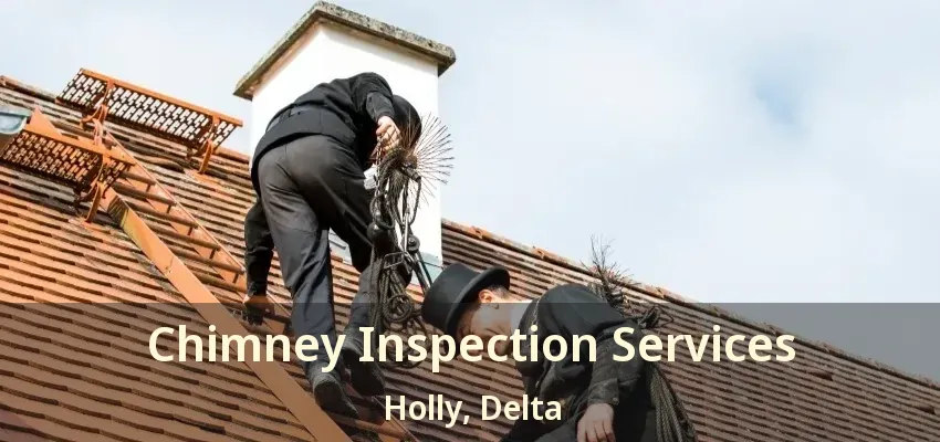 Chimney Inspection Services Holly, Delta - BC