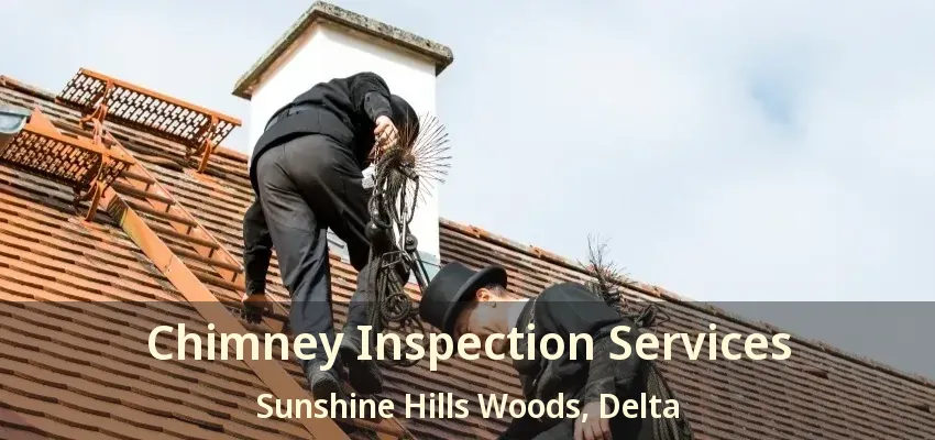 Chimney Inspection Services Sunshine Hills Woods, Delta - BC