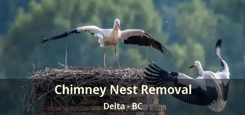Chimney Nest Removal Delta - BC