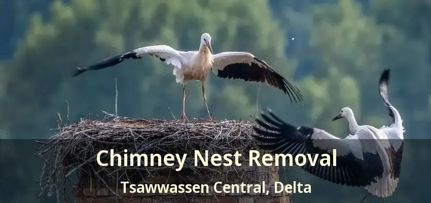 Chimney Nest Removal Tsawwassen Central, Delta - BC