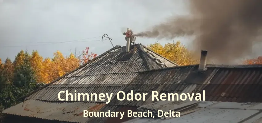 Chimney Odor Removal Boundary Beach, Delta - BC