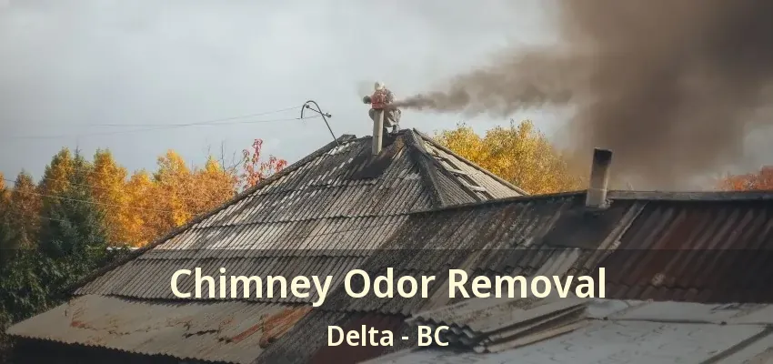 Chimney Odor Removal Delta - BC