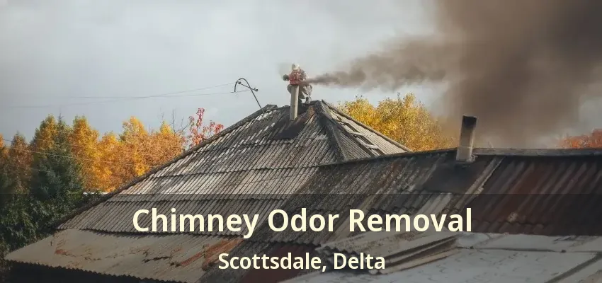 Chimney Odor Removal Scottsdale, Delta - BC