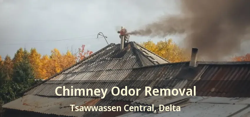 Chimney Odor Removal Tsawwassen Central, Delta - BC