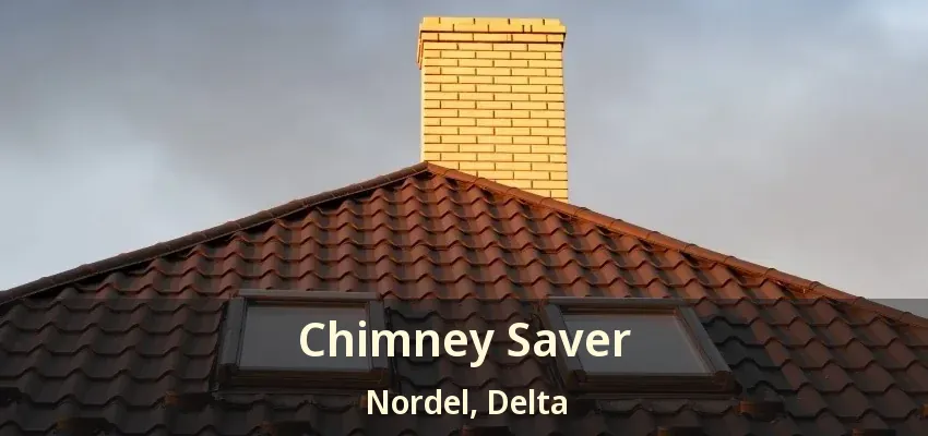 Chimney Saver Nordel, Delta - BC