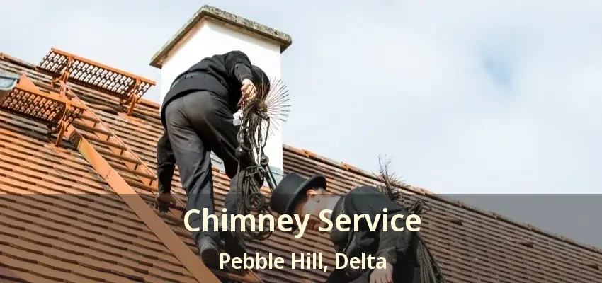 Chimney Service Pebble Hill, Delta - BC