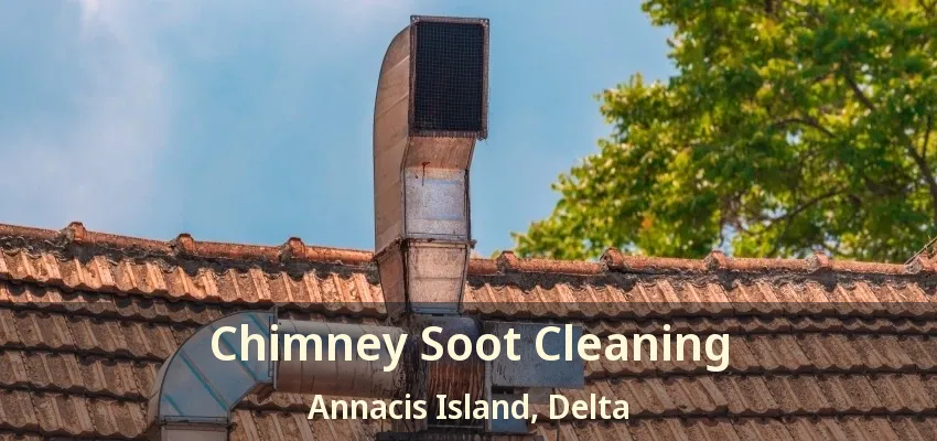 Chimney Soot Cleaning Annacis Island, Delta - BC