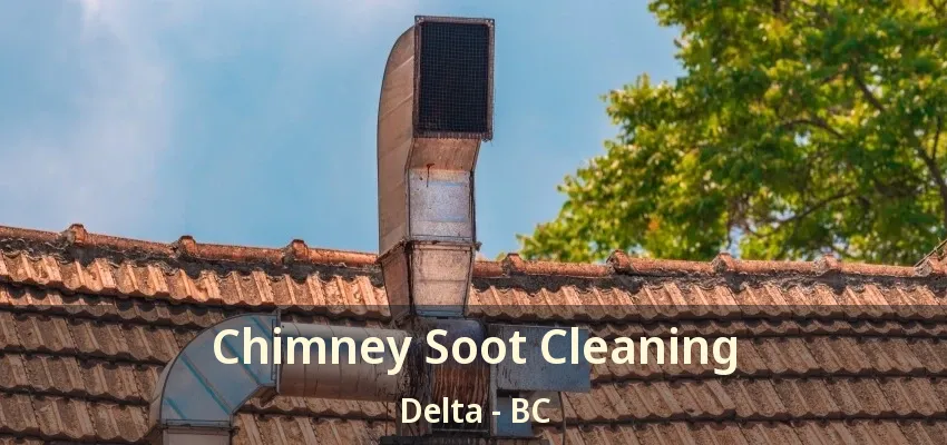 Chimney Soot Cleaning Delta - BC
