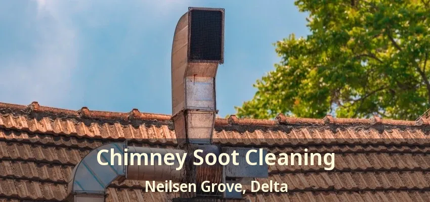 Chimney Soot Cleaning Neilsen Grove, Delta - BC