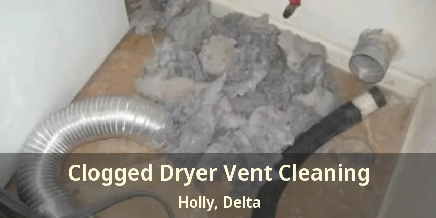 Clogged Dryer Vent Cleaning Holly, Delta - BC