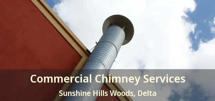 Commercial Chimney Services Sunshine Hills Woods, Delta - BC