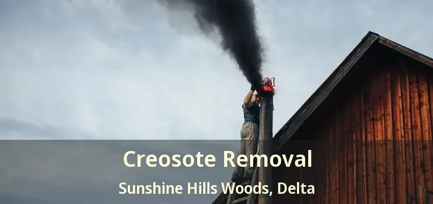 Creosote Removal Sunshine Hills Woods, Delta - BC