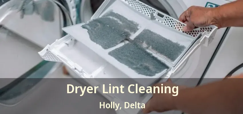 Dryer Lint Cleaning Holly, Delta - BC