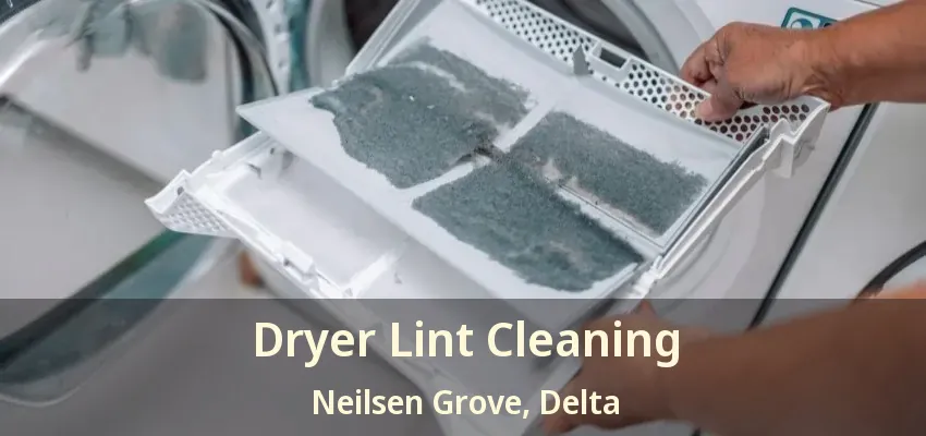Dryer Lint Cleaning Neilsen Grove, Delta - BC