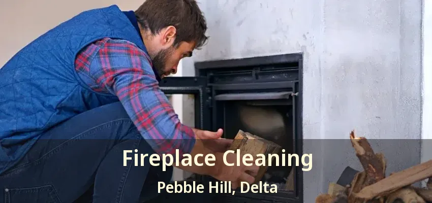 Fireplace Cleaning Pebble Hill, Delta - BC