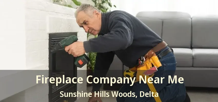 Fireplace Company Near Me Sunshine Hills Woods, Delta - BC