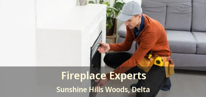Fireplace Experts Sunshine Hills Woods, Delta - BC
