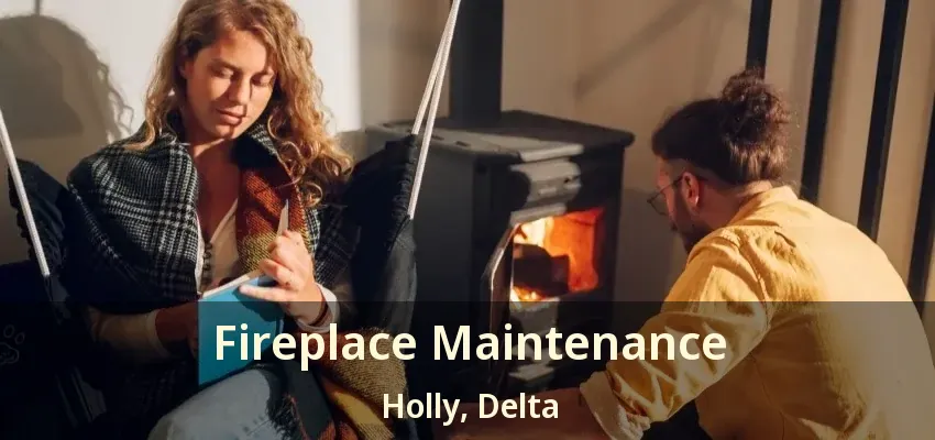 Fireplace Maintenance Holly, Delta - BC