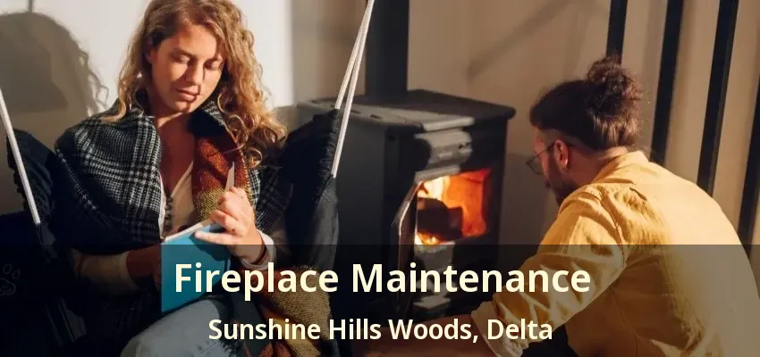 Fireplace Maintenance Sunshine Hills Woods, Delta - BC