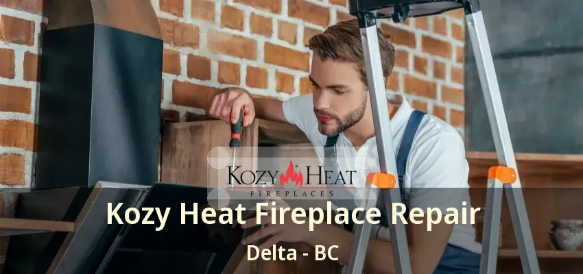 Kozy Heat Fireplace Repair Delta - BC