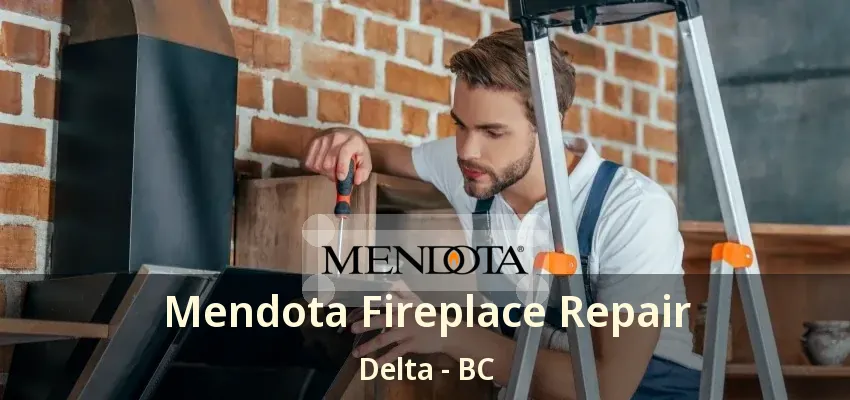 Mendota Fireplace Repair Delta - BC
