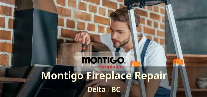 Montigo Fireplace Repair Delta - BC