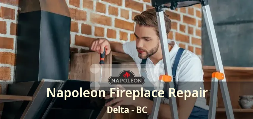 Napoleon Fireplace Repair Delta - BC