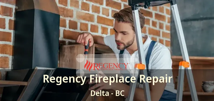 Regency Fireplace Repair Delta - BC