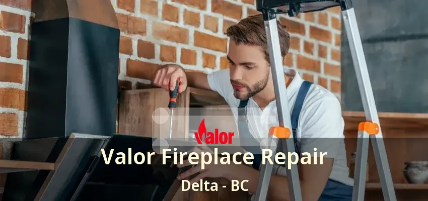 Valor Fireplace Repair Delta - BC