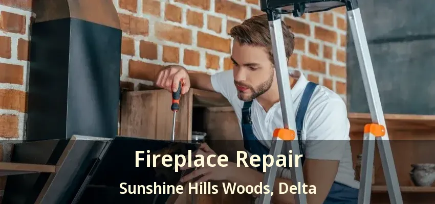 Fireplace Repair Sunshine Hills Woods, Delta - BC