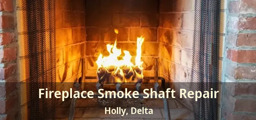 Fireplace Smoke Shaft Repair Holly, Delta - BC